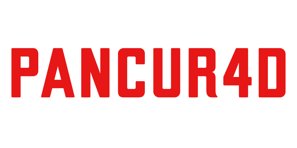PANCUR4D